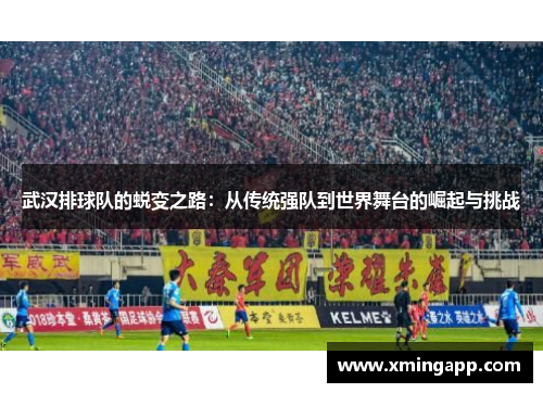 武汉排球队的蜕变之路：从传统强队到世界舞台的崛起与挑战