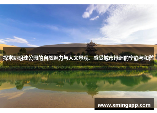 探索姚明珠公园的自然魅力与人文景观，感受城市绿洲的宁静与和谐